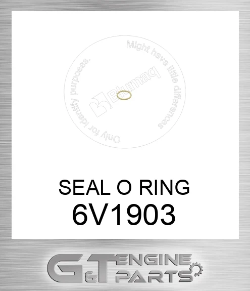 6V1903 SEAL O RING