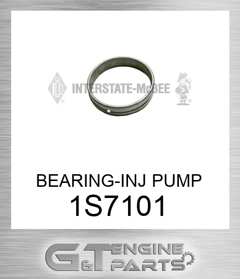 1S7101 BEARING-INJ PUMP