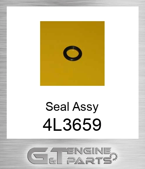 4L3659 Seal Assy