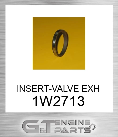 1W2713 INSERT-VALVE EXH