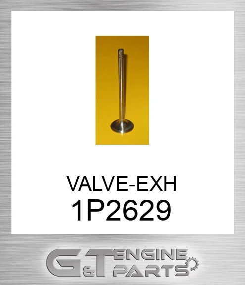 1P2629 VALVE-EXH