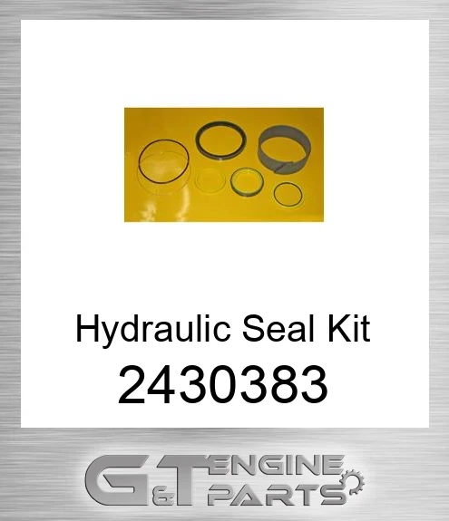 2430383 Seal Kit, Lift