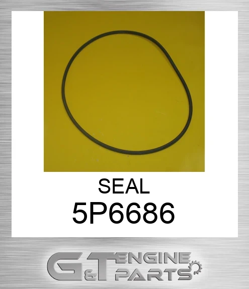 5P6686 SEAL