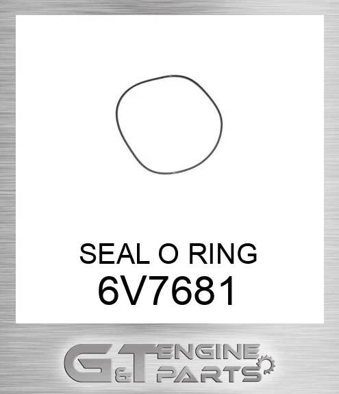6V7681 SEAL O RING