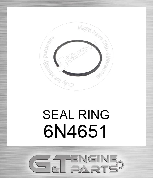 6N4651 SEAL RING