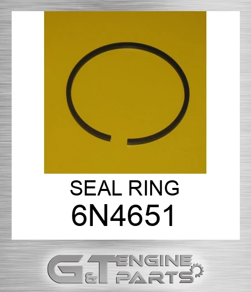 6N4651 SEAL RING