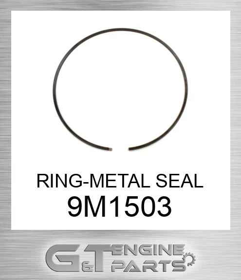 9M1503 RING-METAL SEAL