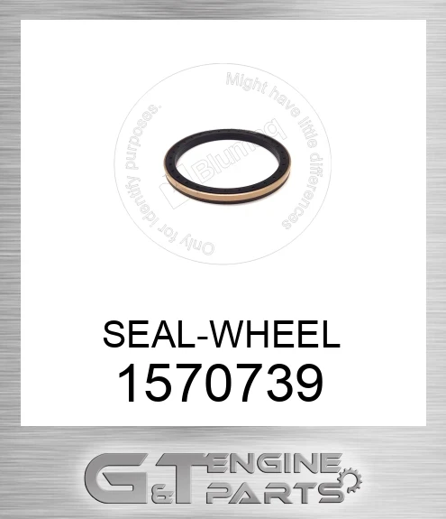 1570739 Seal, Wheel