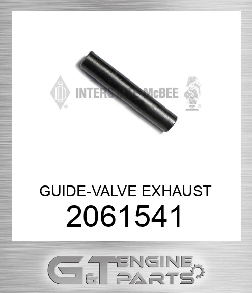2061541 GUIDE-VALVE EXHAUST