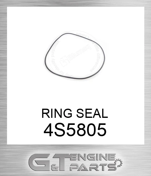 4S5805 RING SEAL