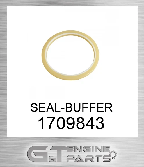 1709843 SEAL-BUFFER