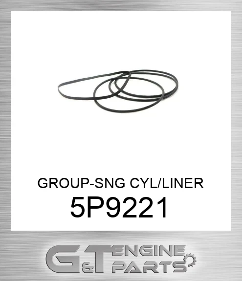 5P9221 GROUP-SNG CYL/LINER