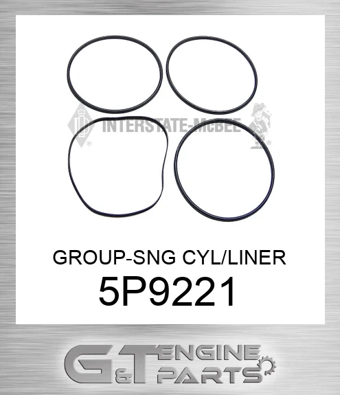 5P9221 GROUP-SNG CYL/LINER