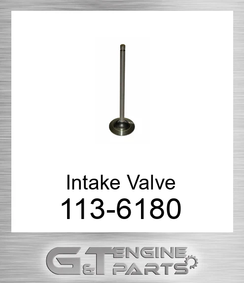 1136180 Intake Valve