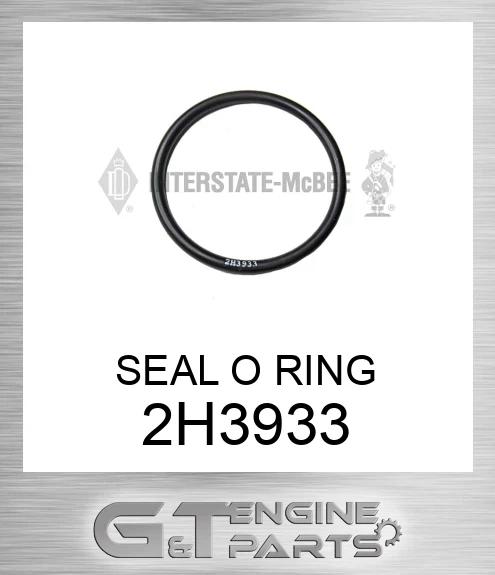 2H3933 SEAL O RING