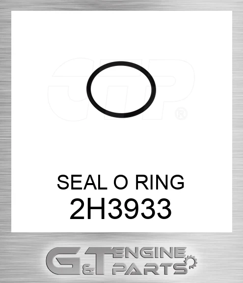 2H3933 SEAL O RING