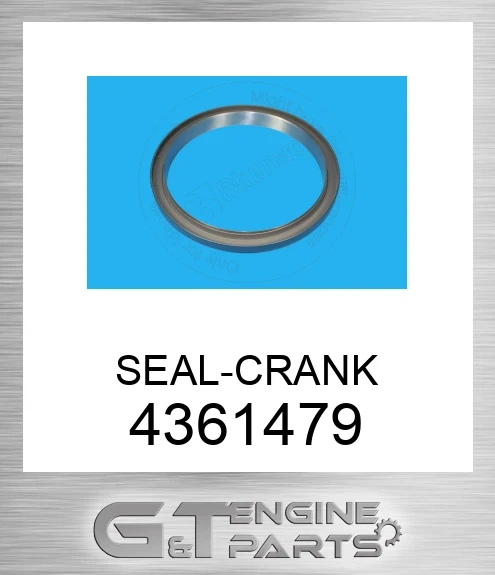 4361479 SEAL-CRANK