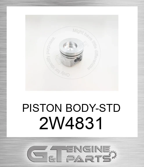 2W4831 PISTON BODY-STD