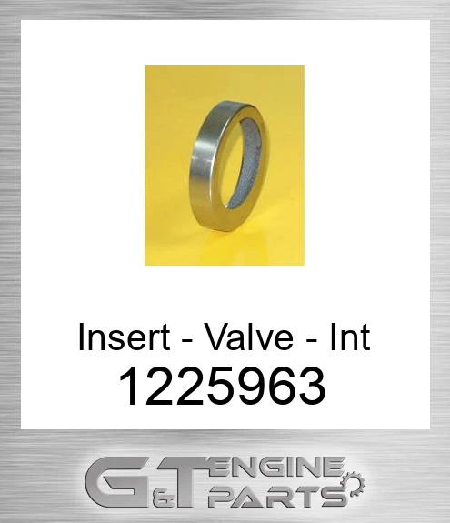 1225963 Insert - Valve - Int