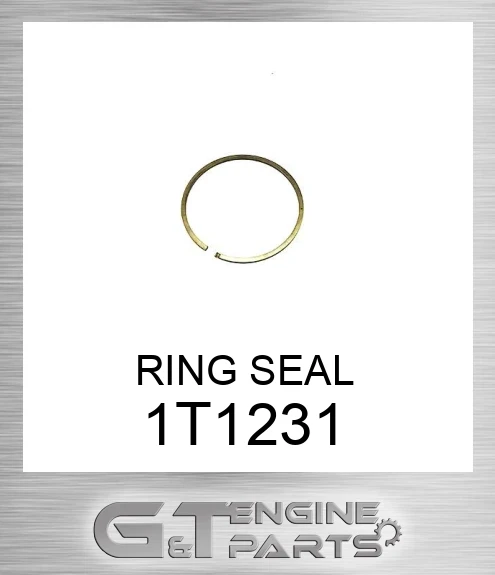 1T1231 RING SEAL