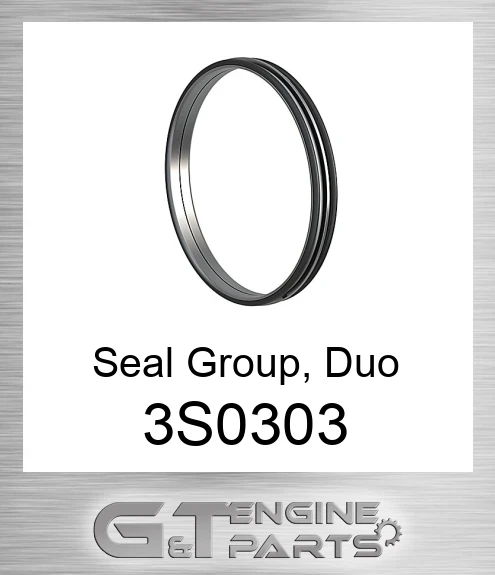 3S-0303 Seal GP. Duo-cone