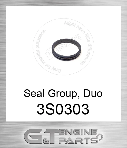 3S-0303 Seal GP. Duo-cone