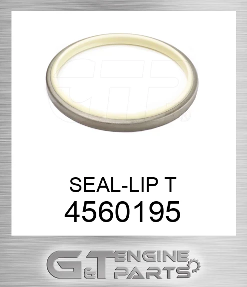 4560195 SEAL-LIP T