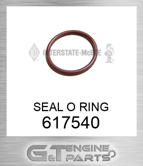 617540 SEAL O RING