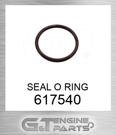 617540 SEAL O RING