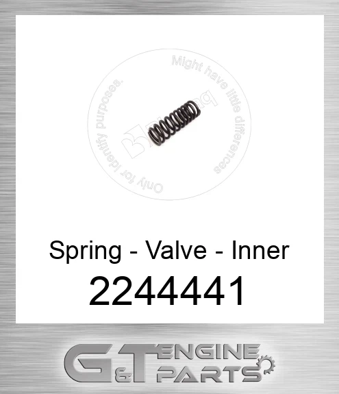2244441 Spring, Valve