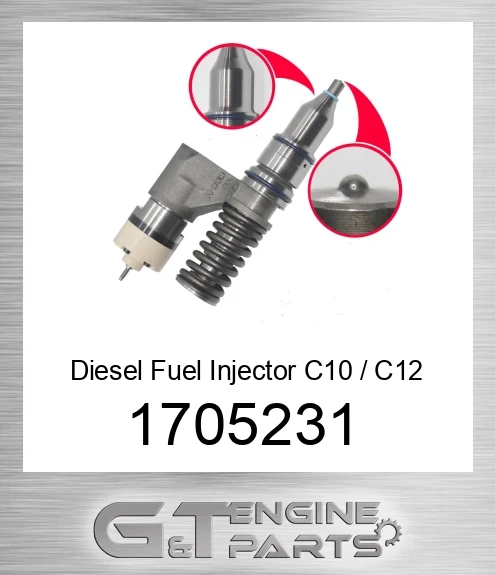 1705231 Diesel Fuel Injector C10 / C12