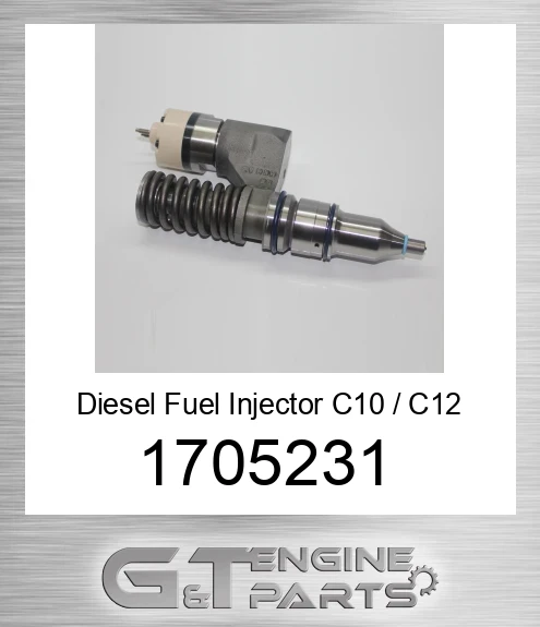1705231 Diesel Fuel Injector C10 / C12