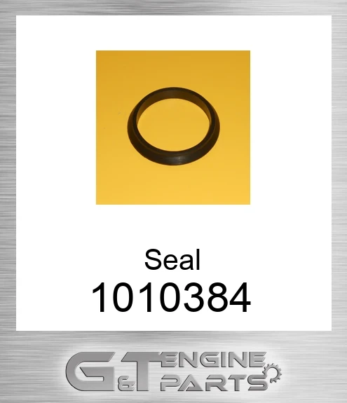 1010384 Seal
