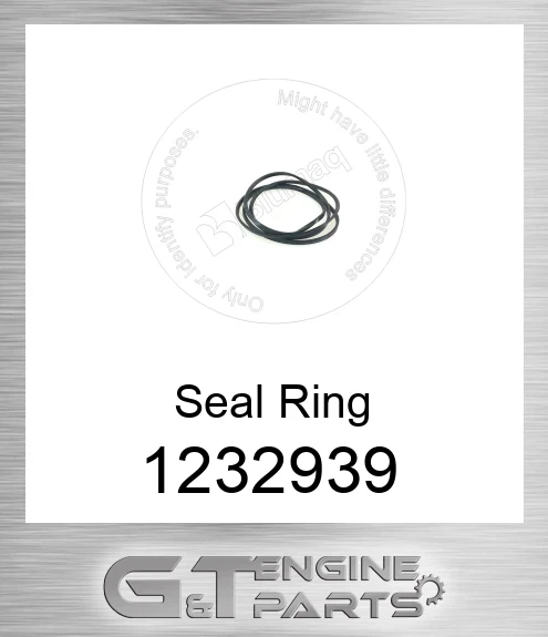 123-2939 RING SEAL