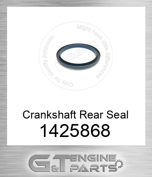1425868 Seal, Crank
