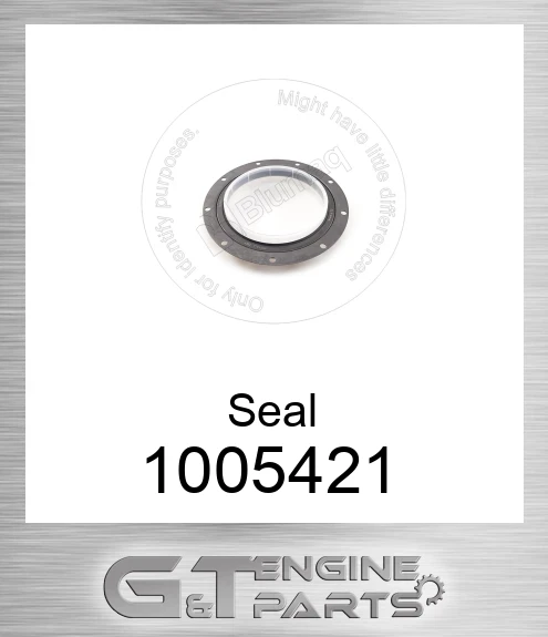 100-5421 Seal