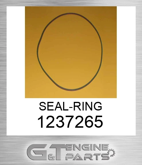 1237265 SEAL-RING