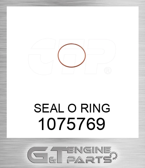 1075769 SEAL O RING