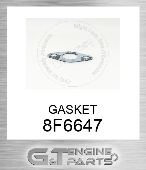 8F6647 GASKET