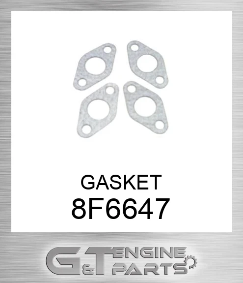 8F6647 GASKET