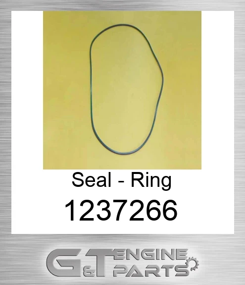 123-7266 Seal