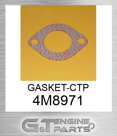 4M8971 GASKET-CTP