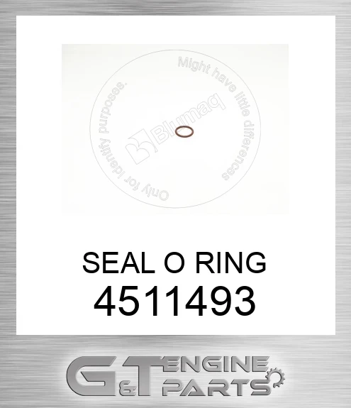 4511493 SEAL O RING