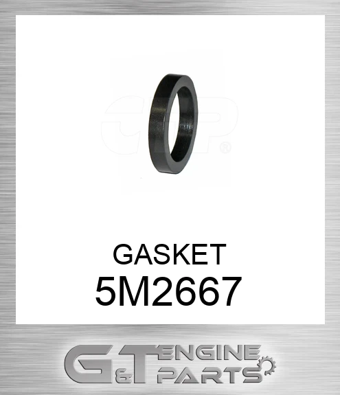 5M2667 GASKET