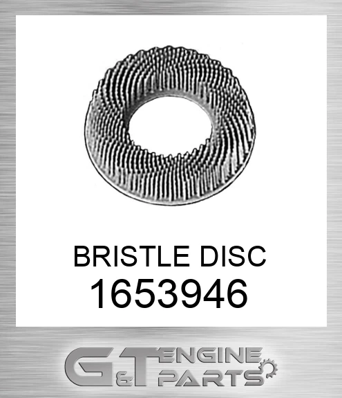165-3946 BRISTLE DISC
