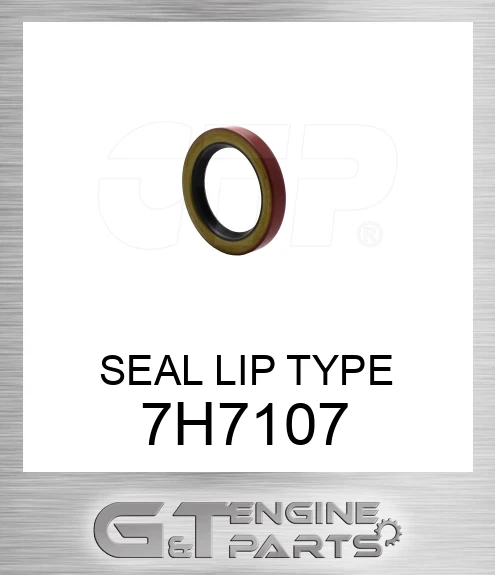 7H7107 SEAL LIP TYPE