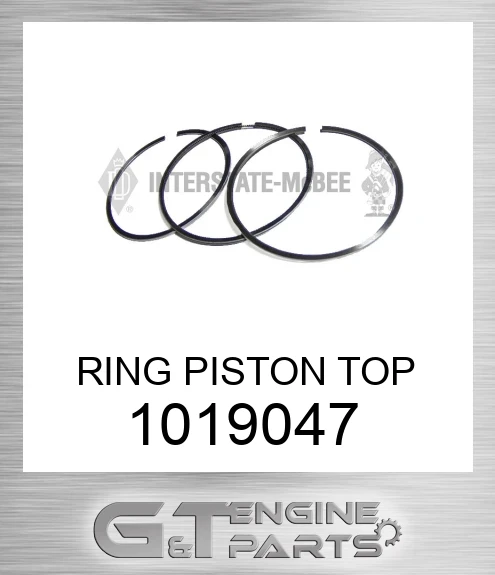 1019047 RING PISTON TOP