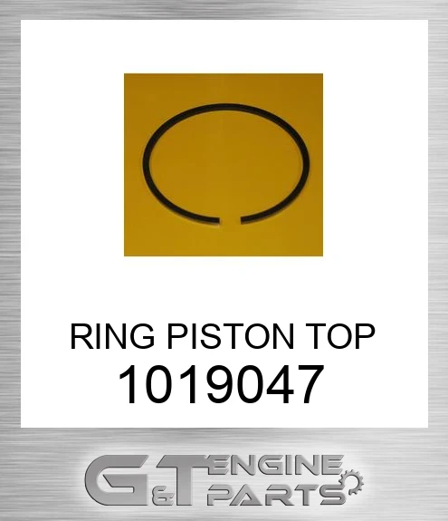 1019047 RING PISTON TOP