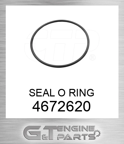 4672620 SEAL O RING