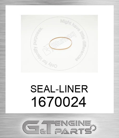1670024 SEAL-LINER
